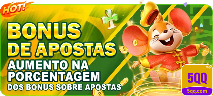 5qq.com - usar a avançada plataforma online